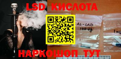 гидропоника Новодвинск